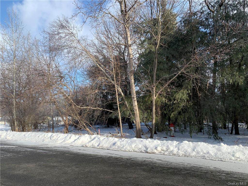 Woodcliff Avenue - Photo 1
