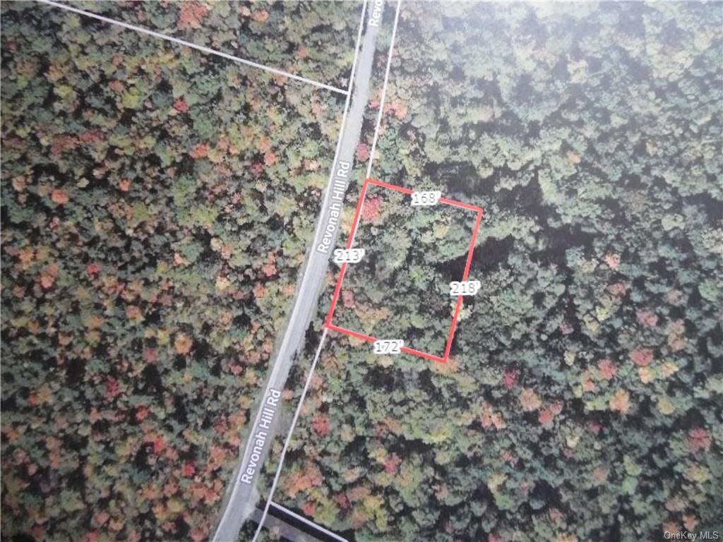 Revonah Road - Photo 1
