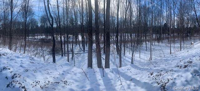 Old Greenfield Road - Photo 1