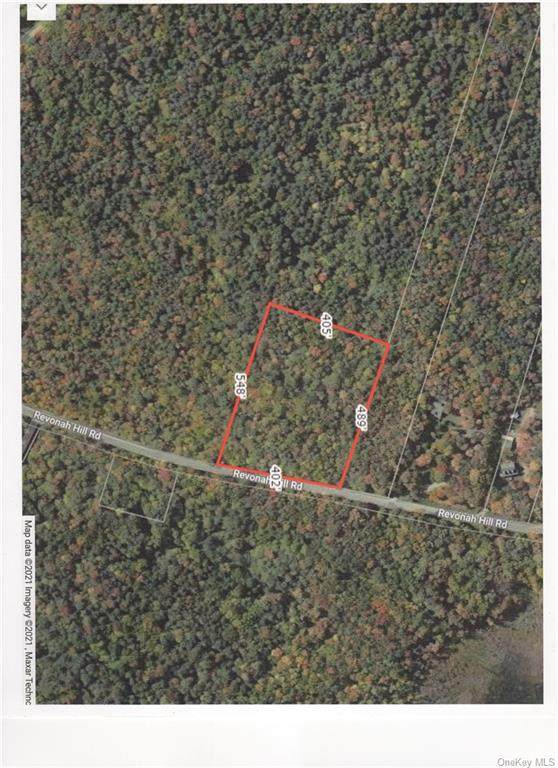 Revonah Hill Road - Photo 1