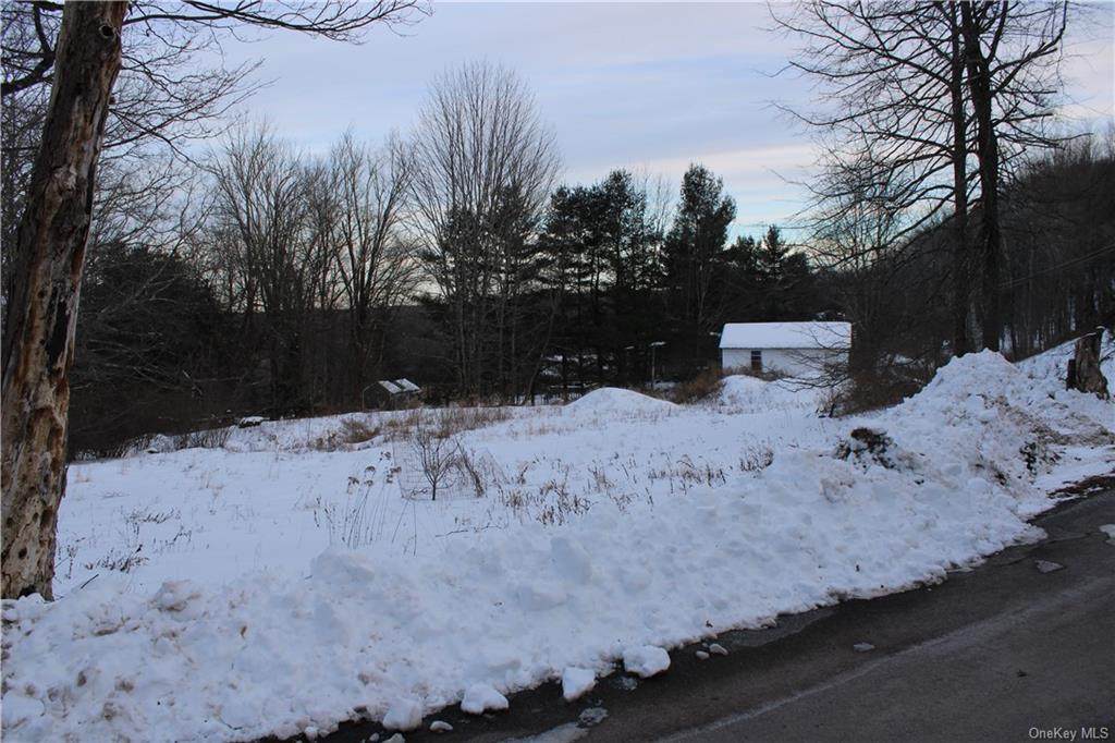 49 Porter Road - Photo 1