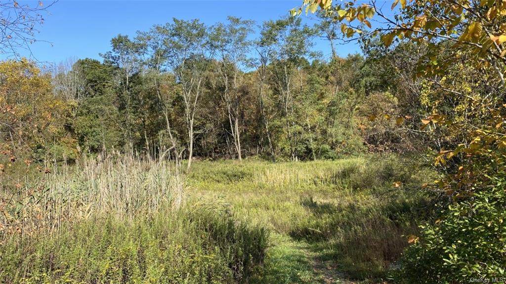 na White Birch Road - Photo 1