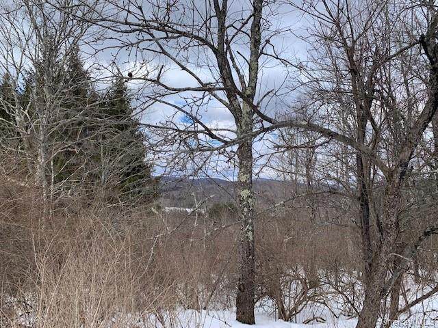 Cedar Lane - Photo 1