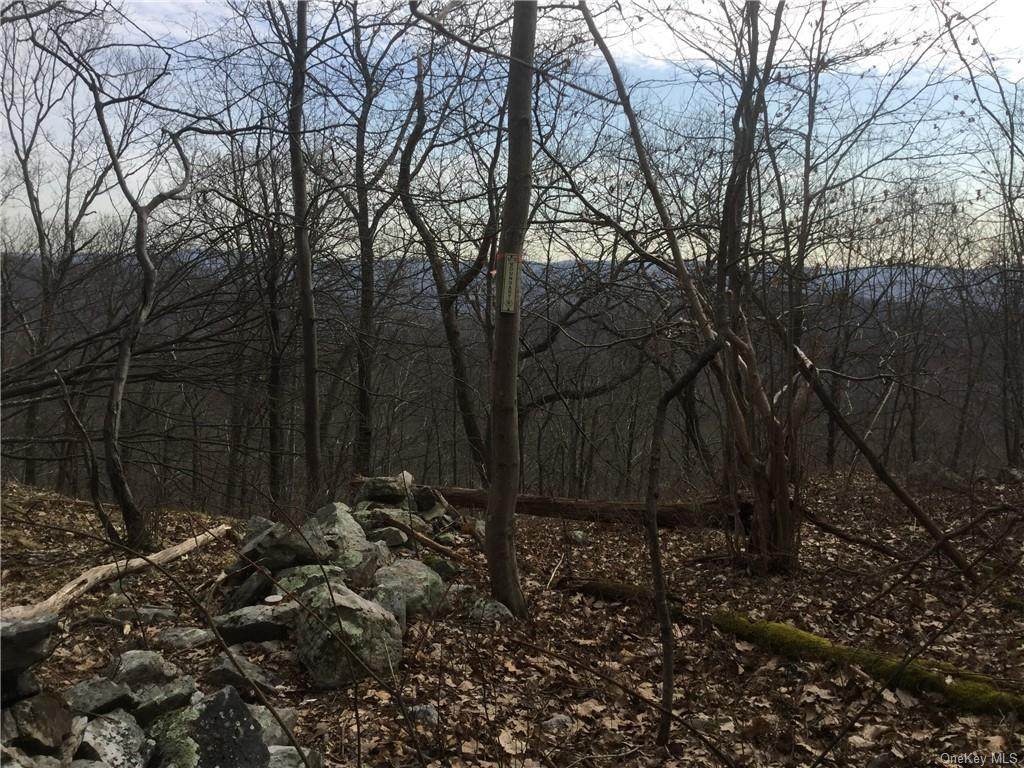 Fort Defiance Hill Road - Photo 1
