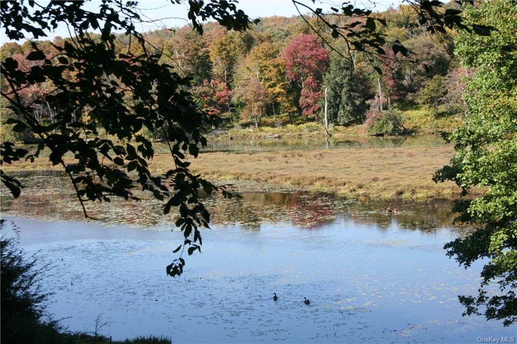 1043 Hankins Rd Cr 93 - Photo 1