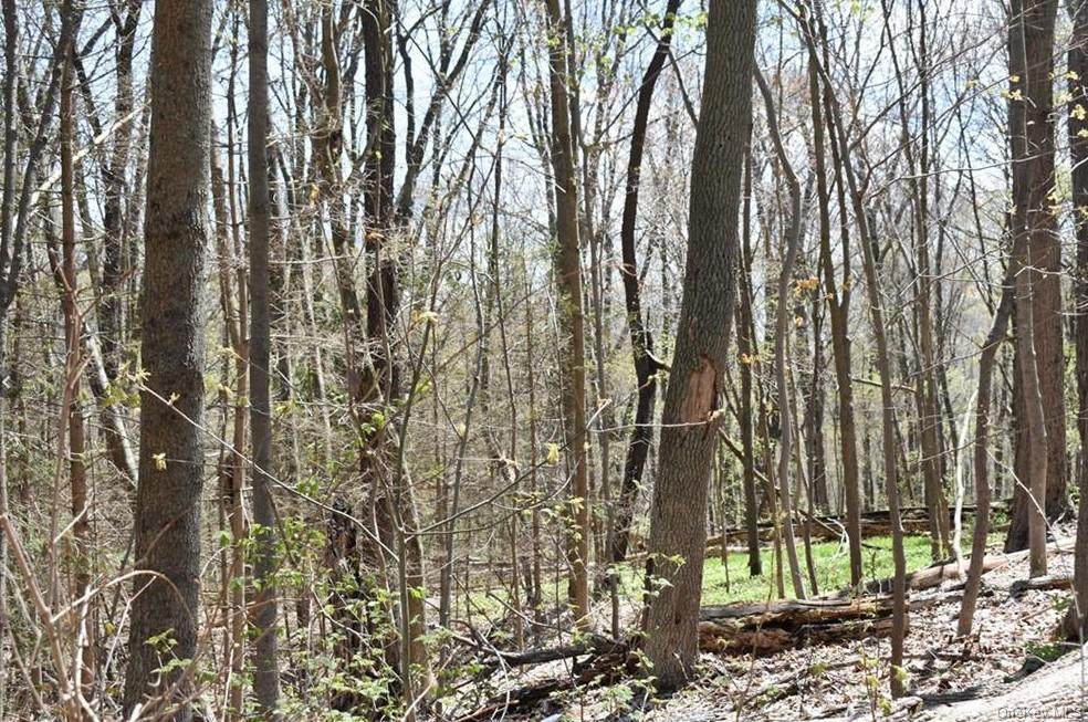471 Stormville Mountain Road - Photo 1