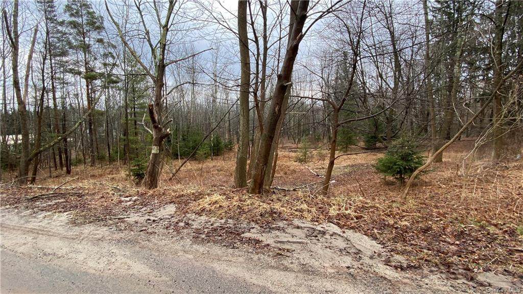 Youngs Hill Road - Photo 1