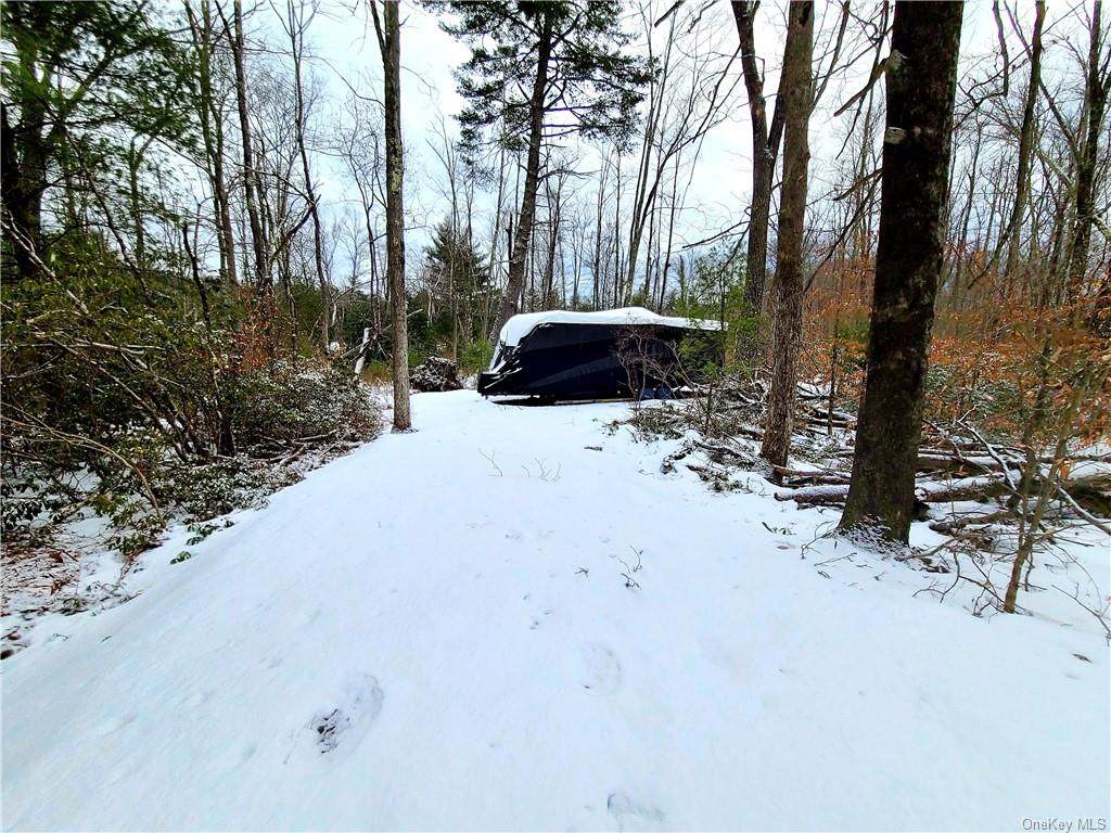 Wildwood Way - Photo 1
