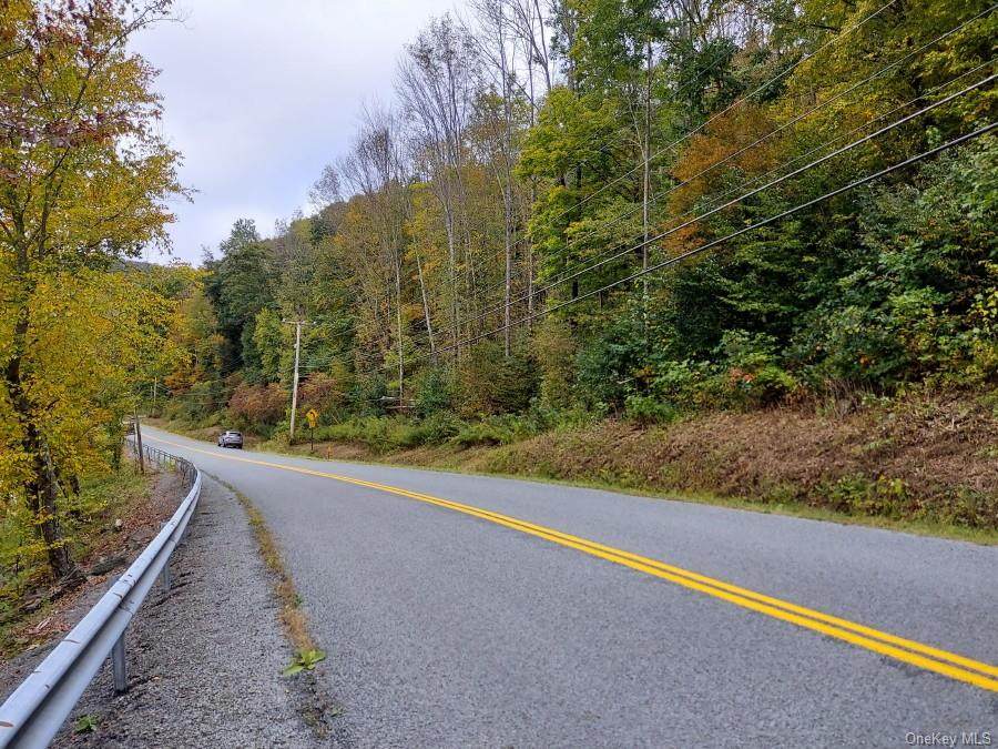 Old Rt 17 - Photo 1