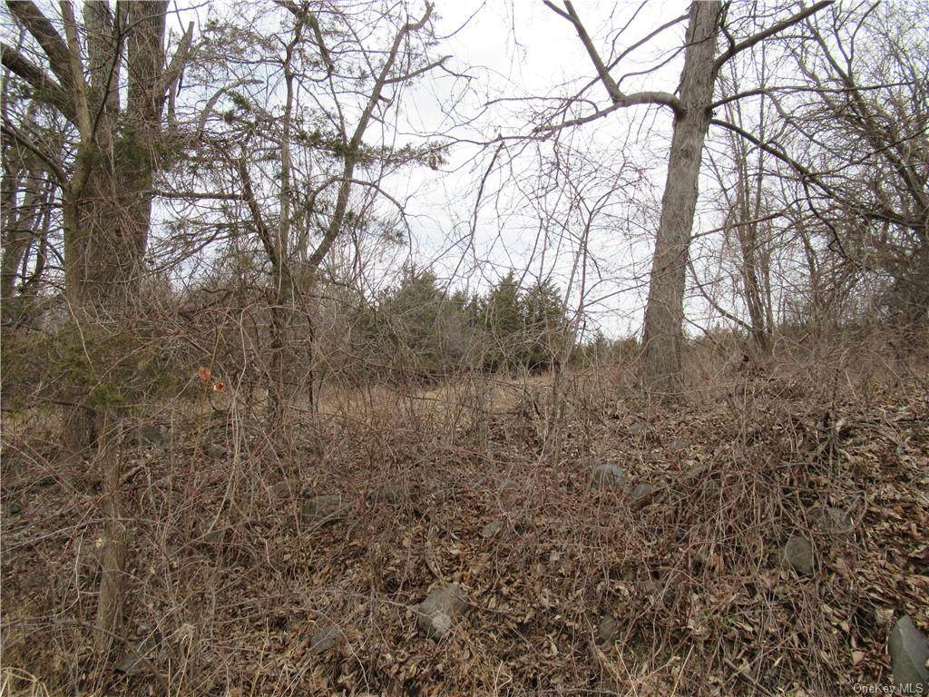 Old Ridge Road - Photo 1