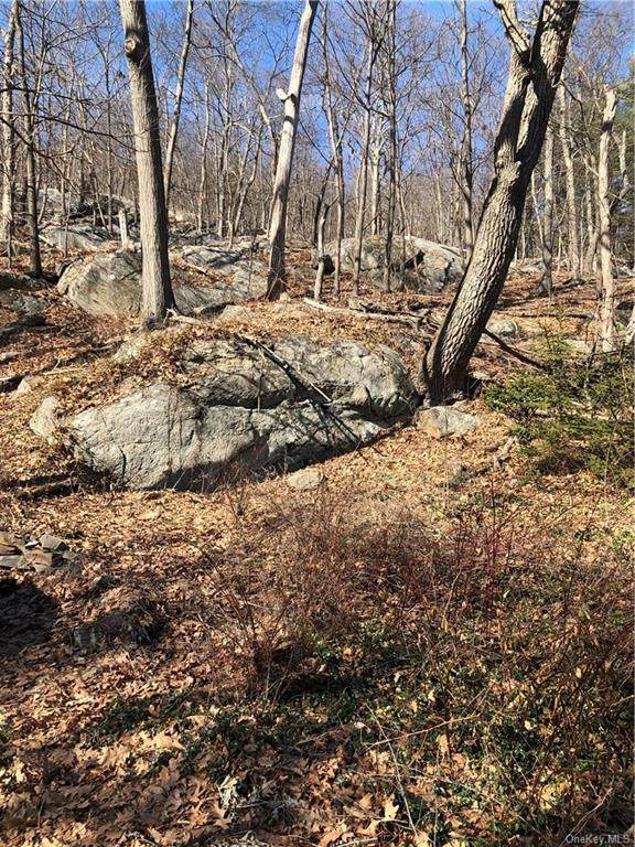 73 Blueberry Hill - Photo 1