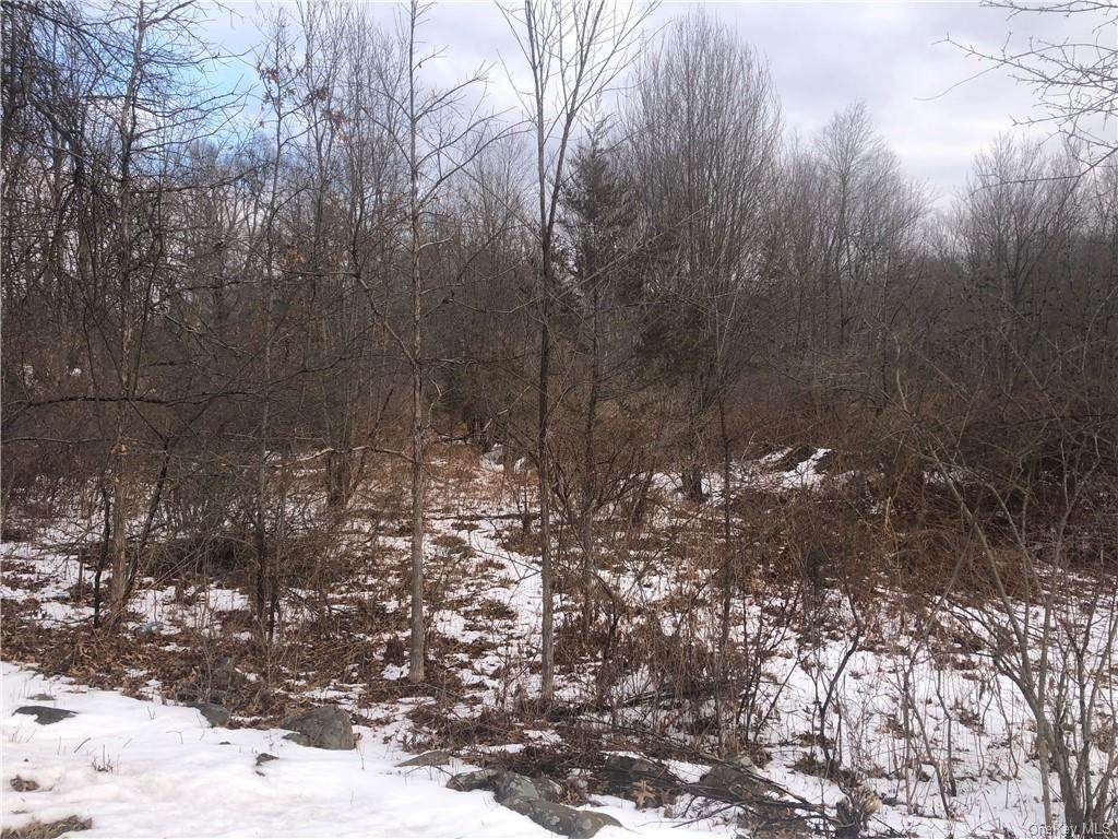 154 Browns Road - Photo 1