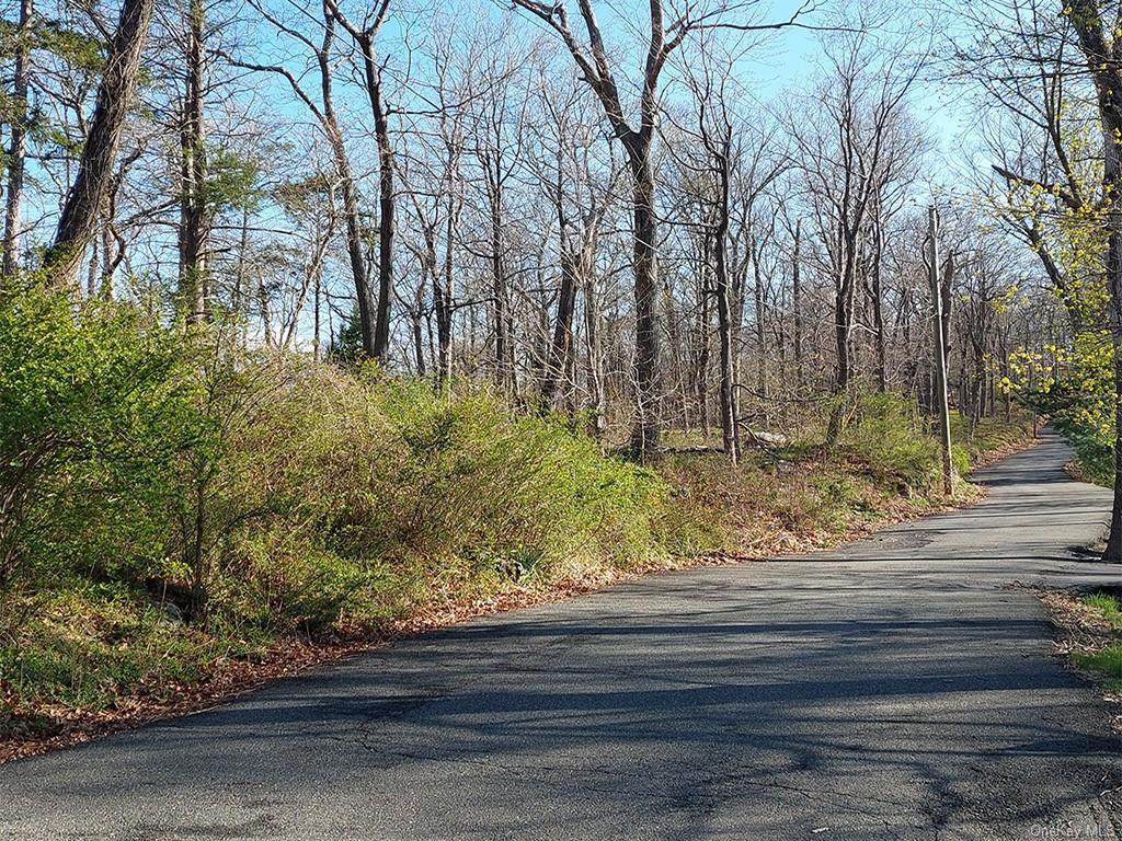 Lookout Mountain Road - Photo 1
