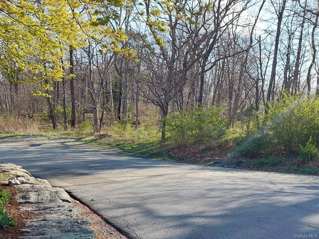 Lookout Mountain Road - Photo 1