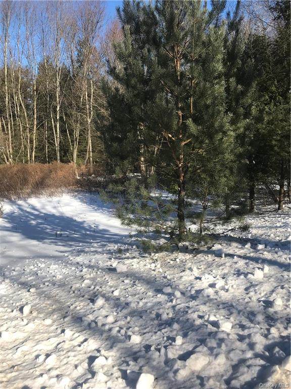 Labaugh Road Tr 8 - Photo 1