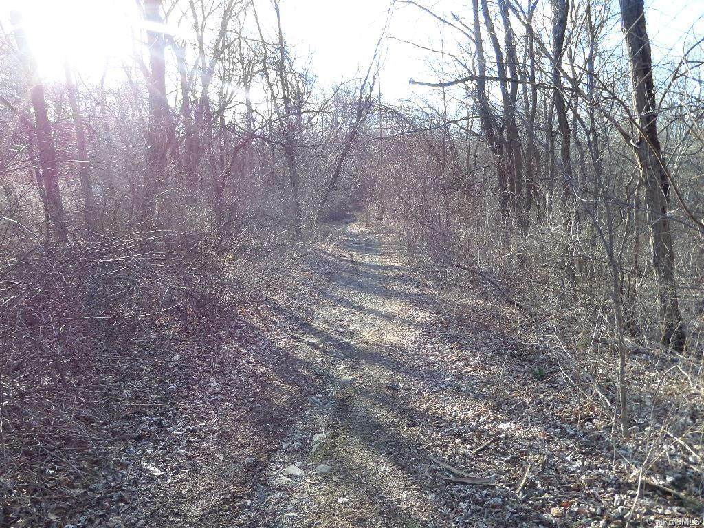 Plains Road Ws - Photo 1