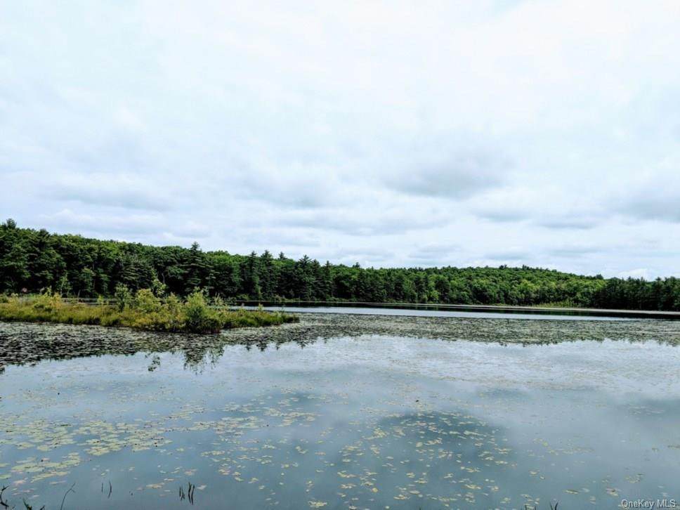 Lot # 2 Elle Drive - Photo 1