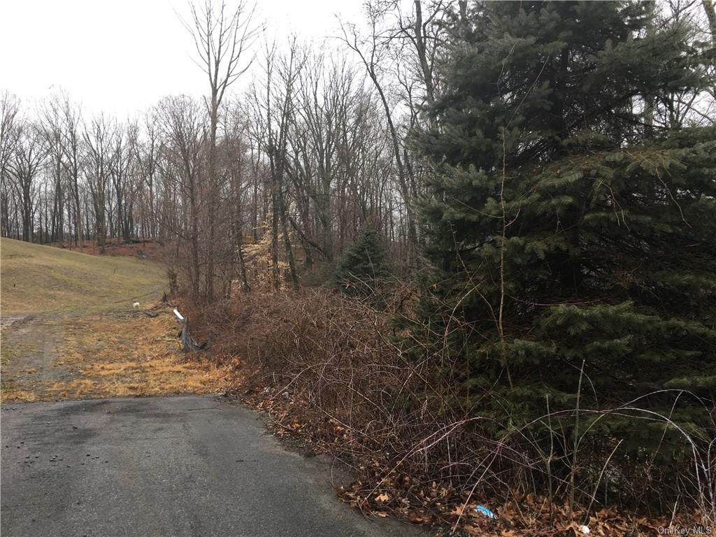 1 Guion Lane - Photo 1
