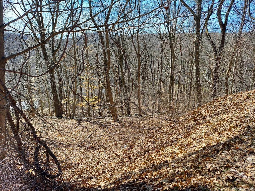 53 Carolyn Road - Photo 1