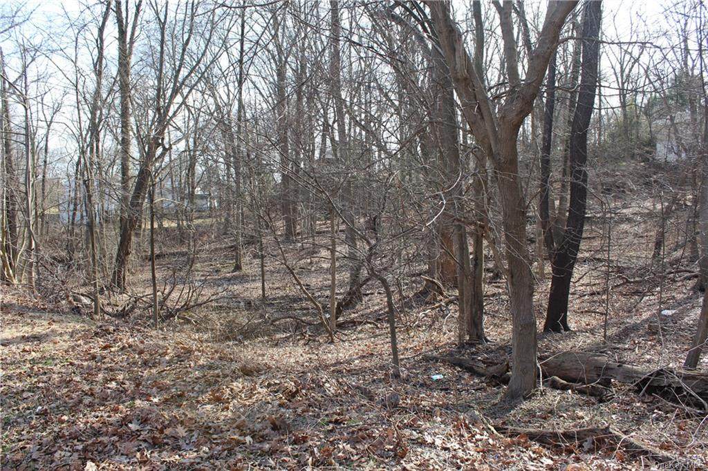 Farragut Parkway - Photo 1