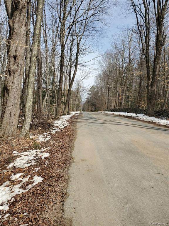 TBD Spook Hole Road - Photo 1