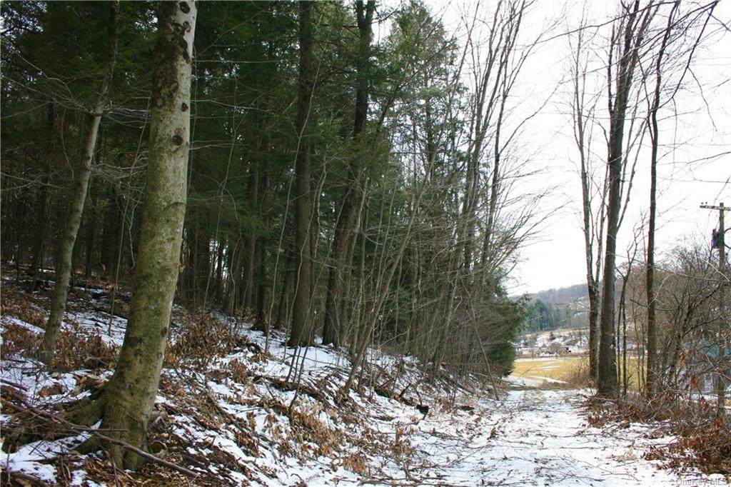Callicoon Center Road - Photo 1