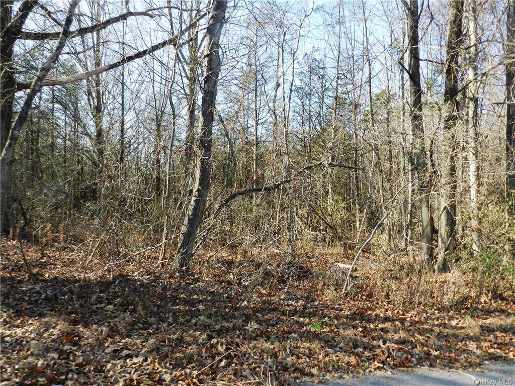 248 Johnson Road - Photo 1
