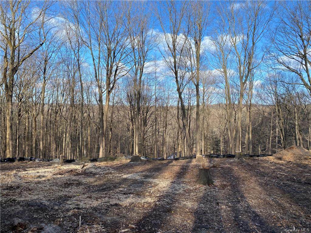 11 Whippoorwill Lane - Photo 1