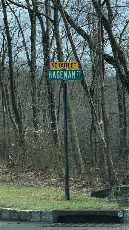 2 Hageman Court - Photo 1