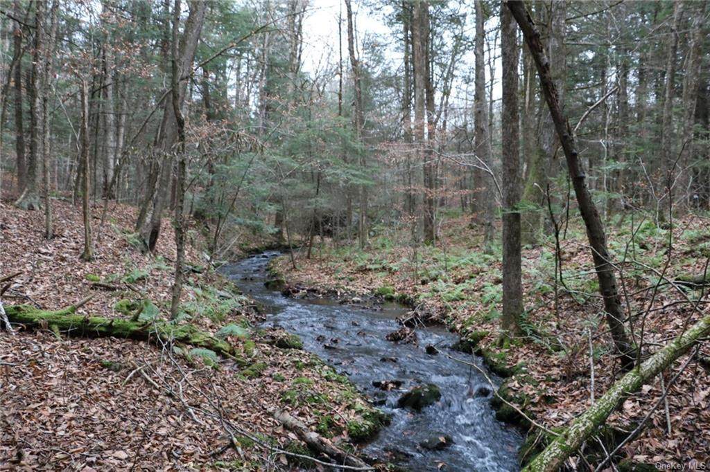 Kenoza Trail - Photo 1