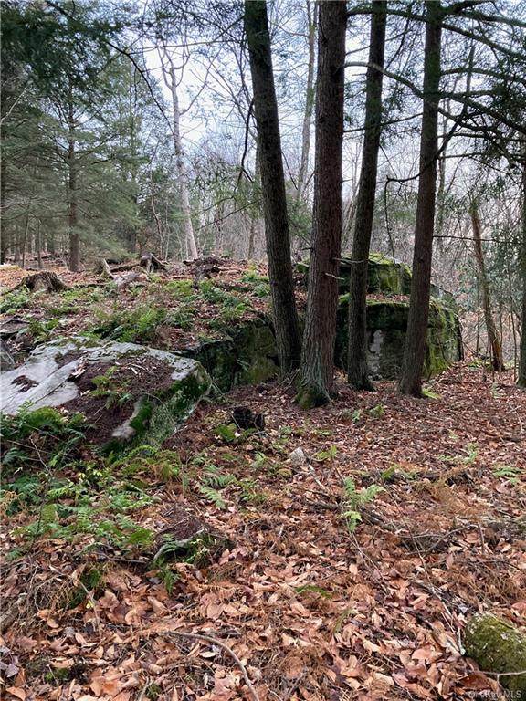 Kenoza Trail - Photo 1