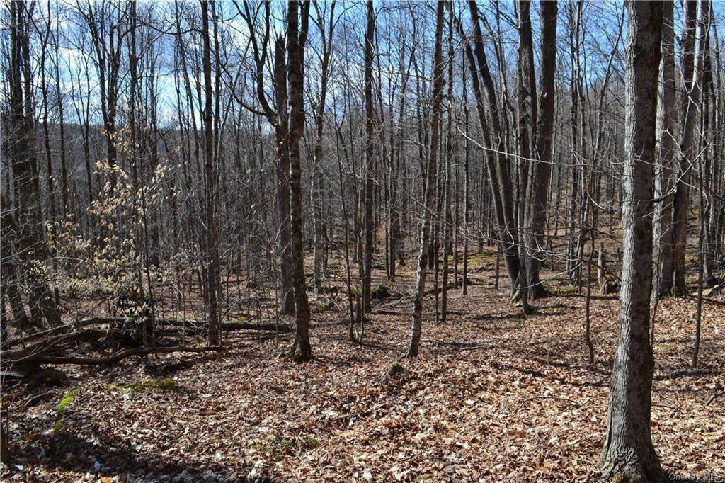 Ash Clove Road - Photo 1