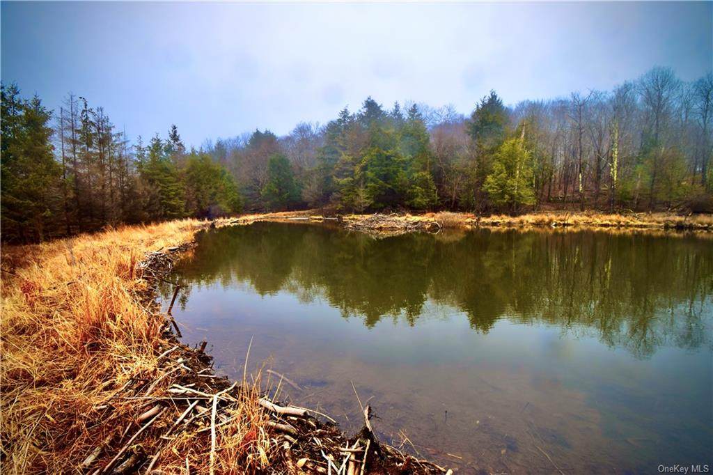 Elk Point Road - Photo 1