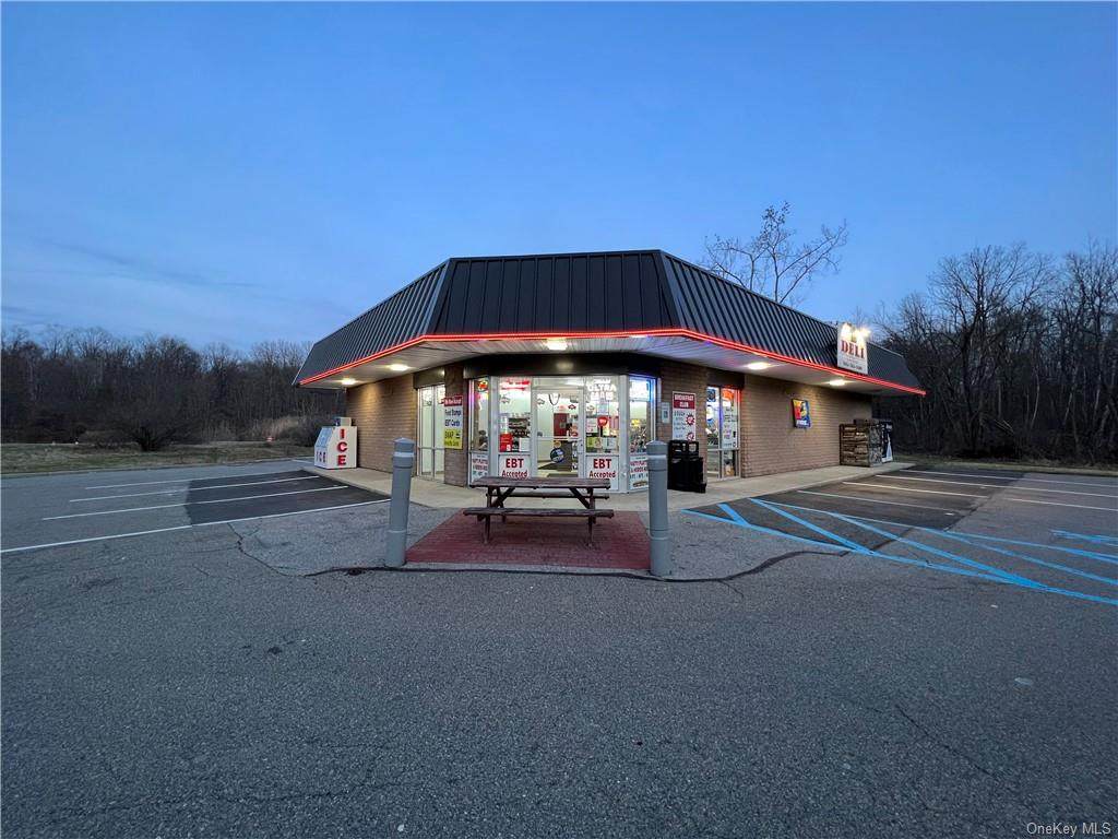 2048 Route 9D - Photo 1