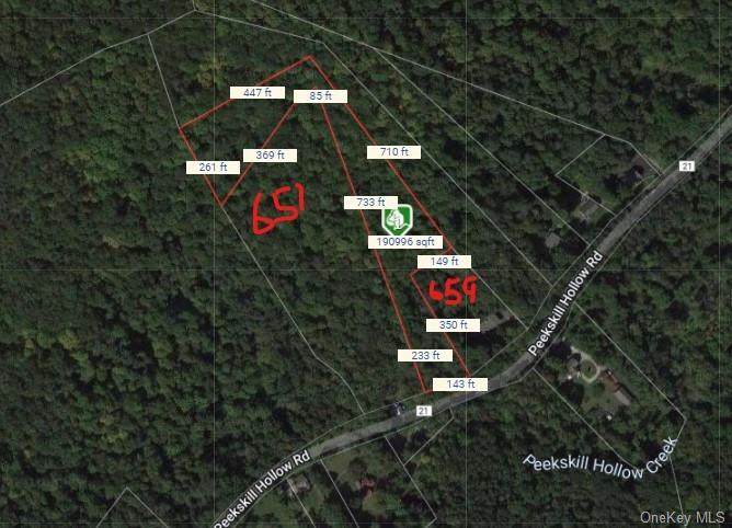 Lot 16 Peekskill Hollow Road - Photo 1