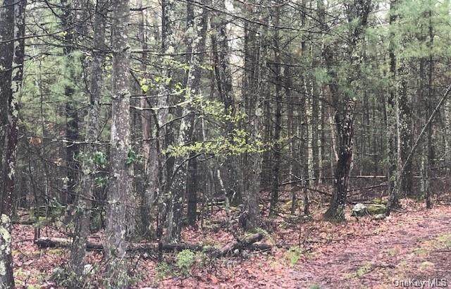 Irishtown Rd, Tr 20 - Photo 1