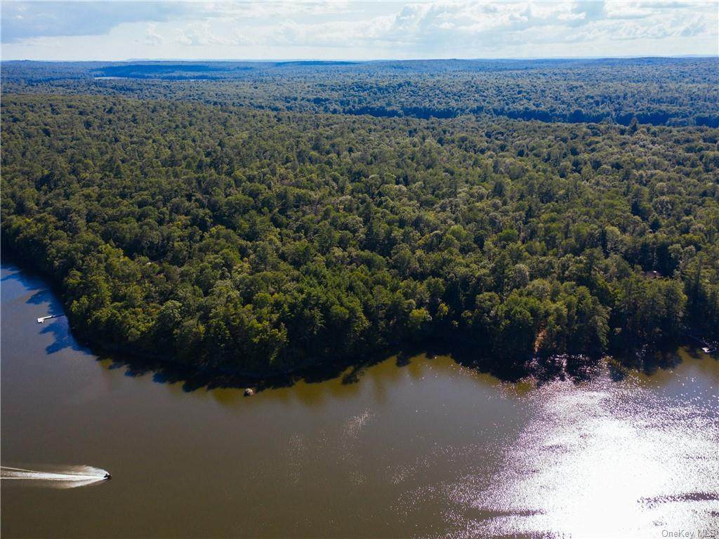 Lot 11 Woodstone Trail - Photo 1