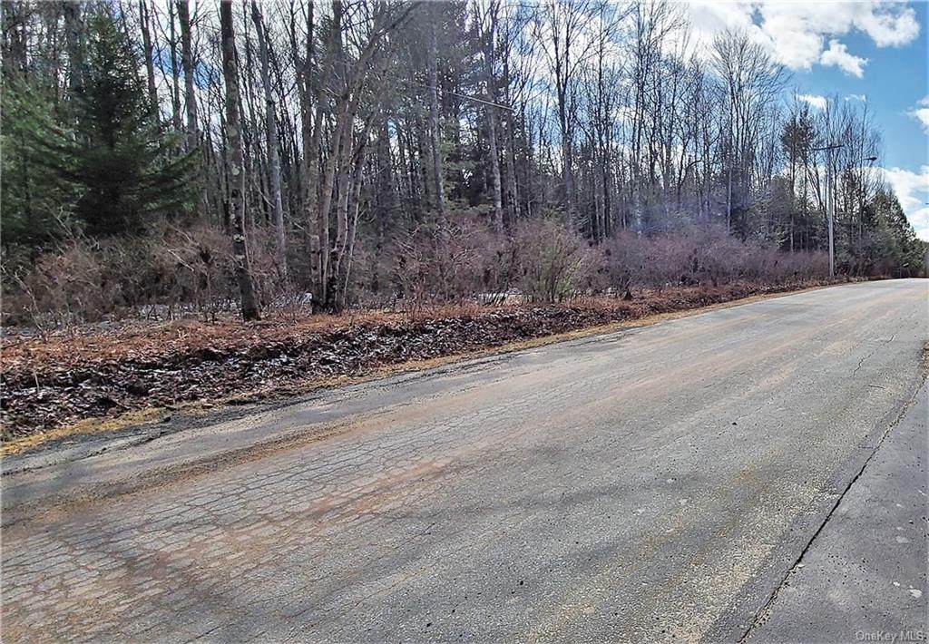*TBD* Horseshoe Lake Road - Photo 1