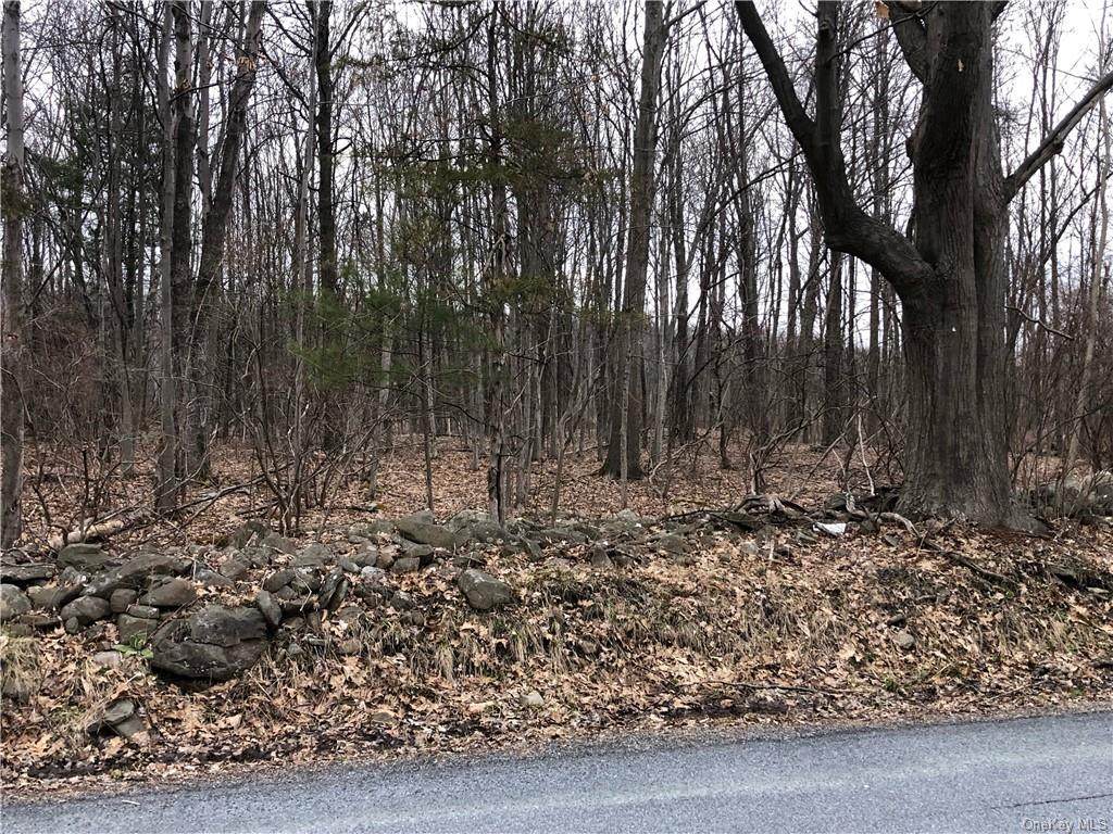 Toad Pasture Road - Photo 1