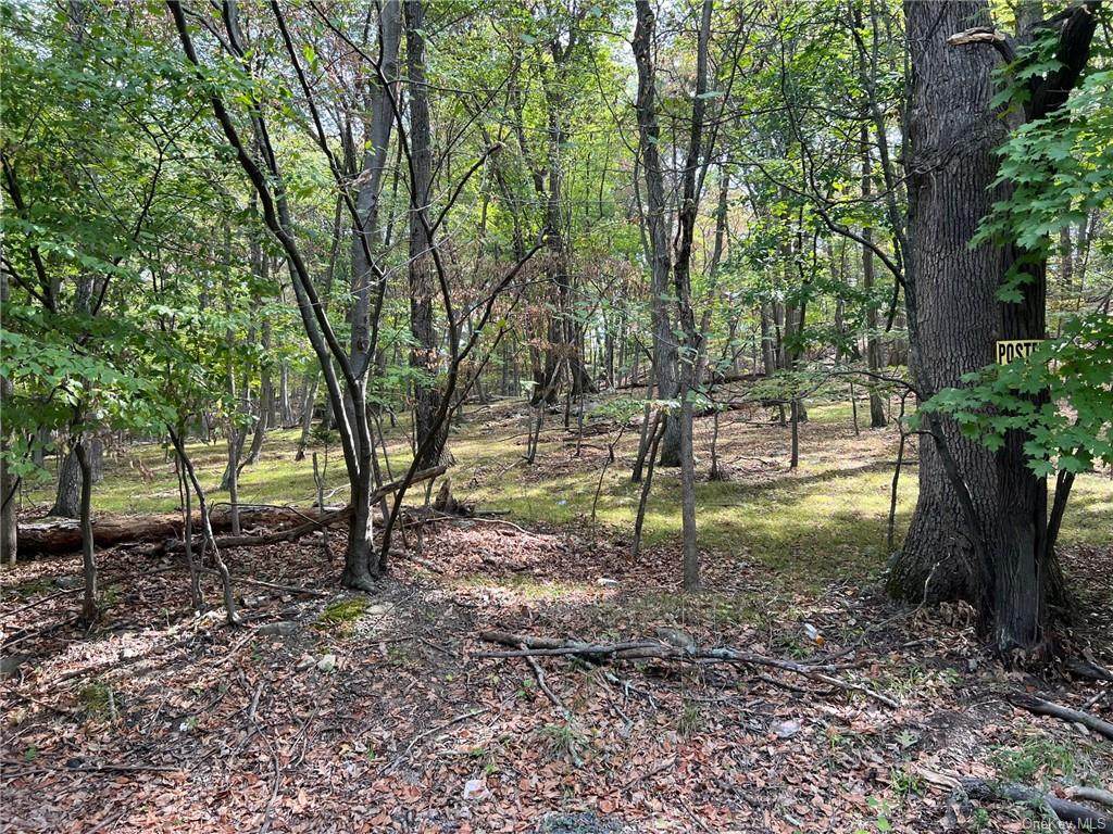 11 Rheajack Drive - Photo 1