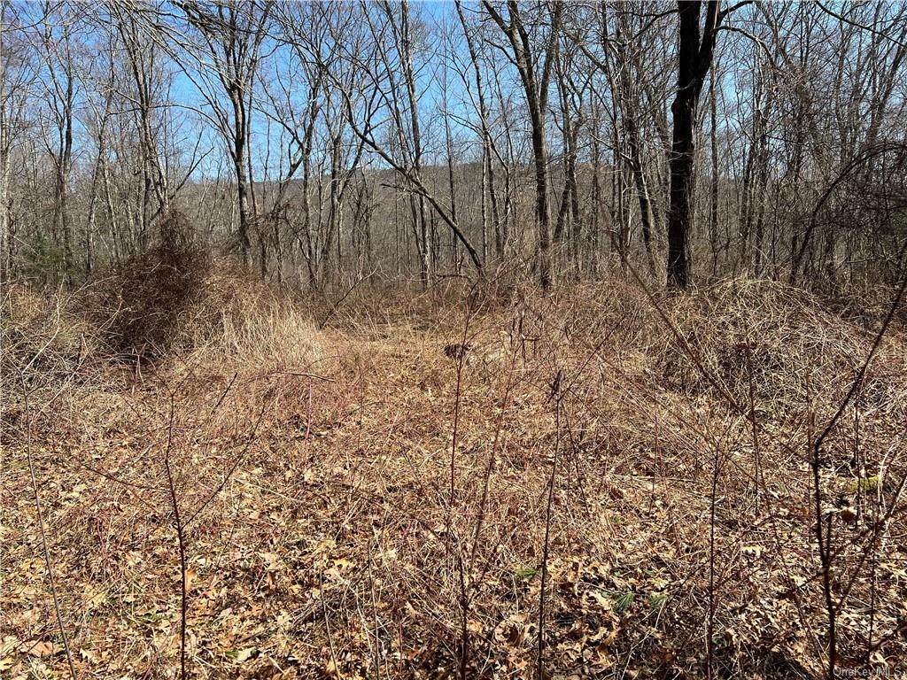 State Route 209 - Photo 1