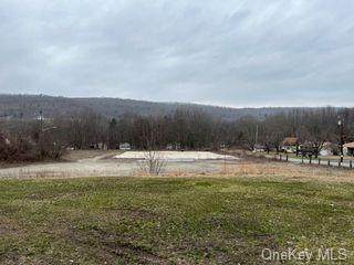 107 Route 209 - Photo 1