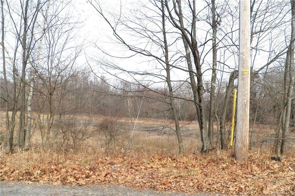 Panther Hill Road Tr 56A - Photo 1