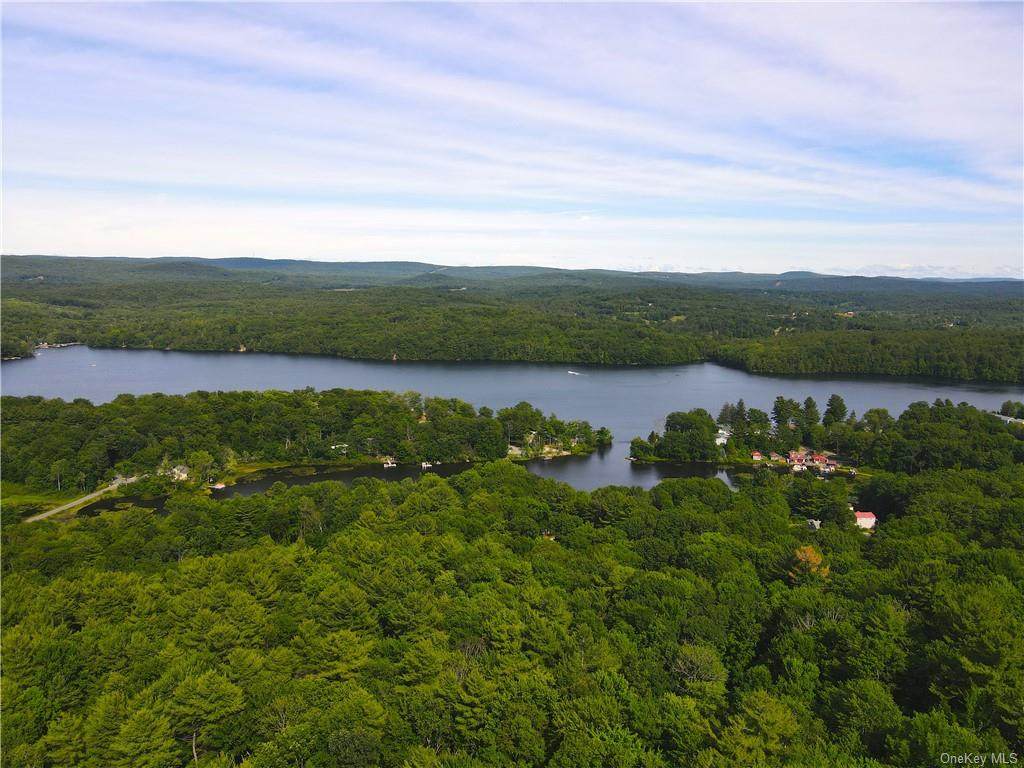 Burden Lake Road - Photo 1