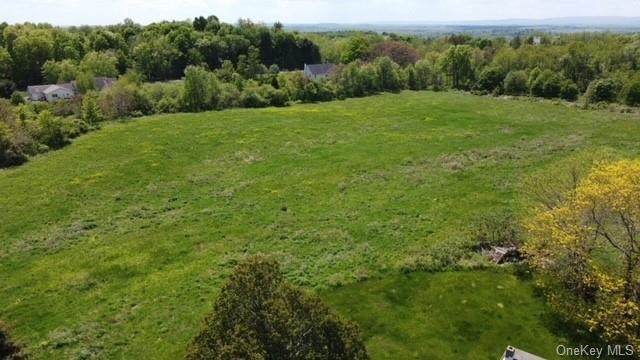 1137 Plains Road - Photo 1