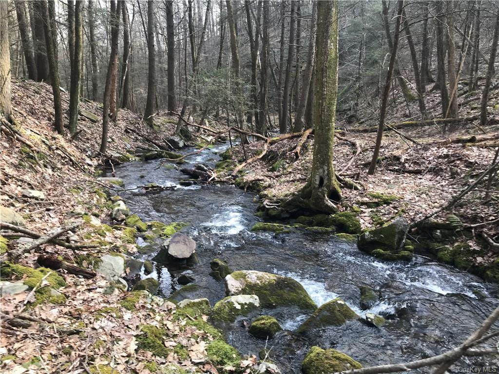 State Route 209 - Photo 1