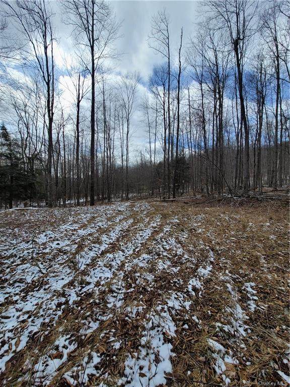 Petersen Road - Photo 1