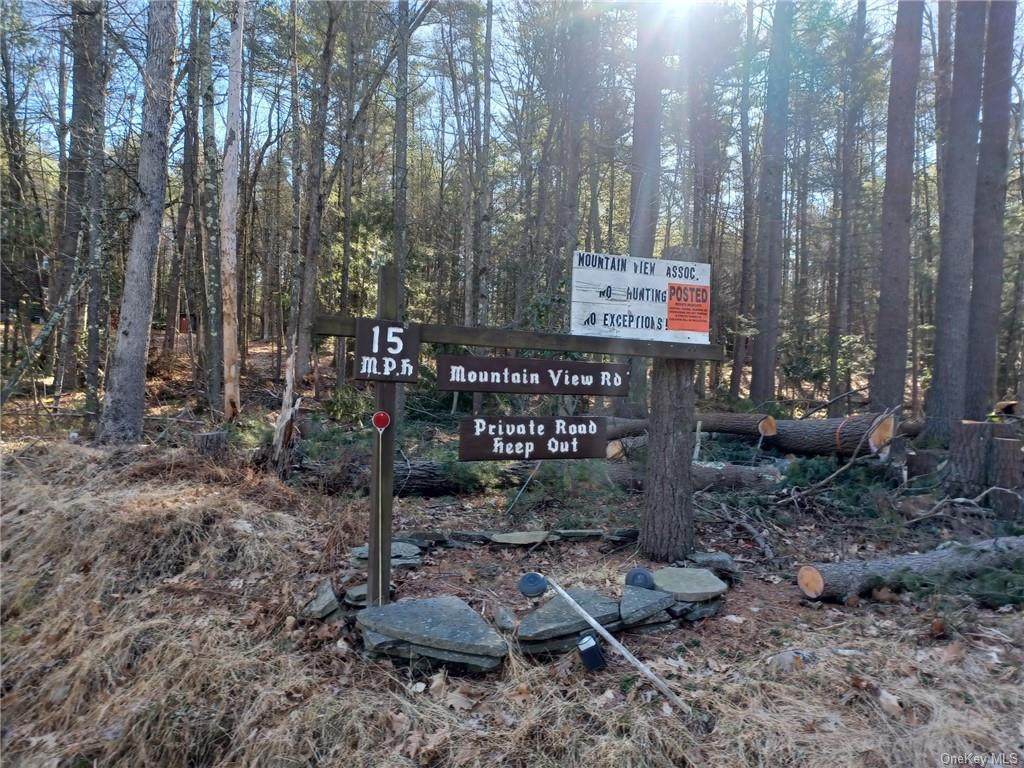 Mountain View Road - Photo 1