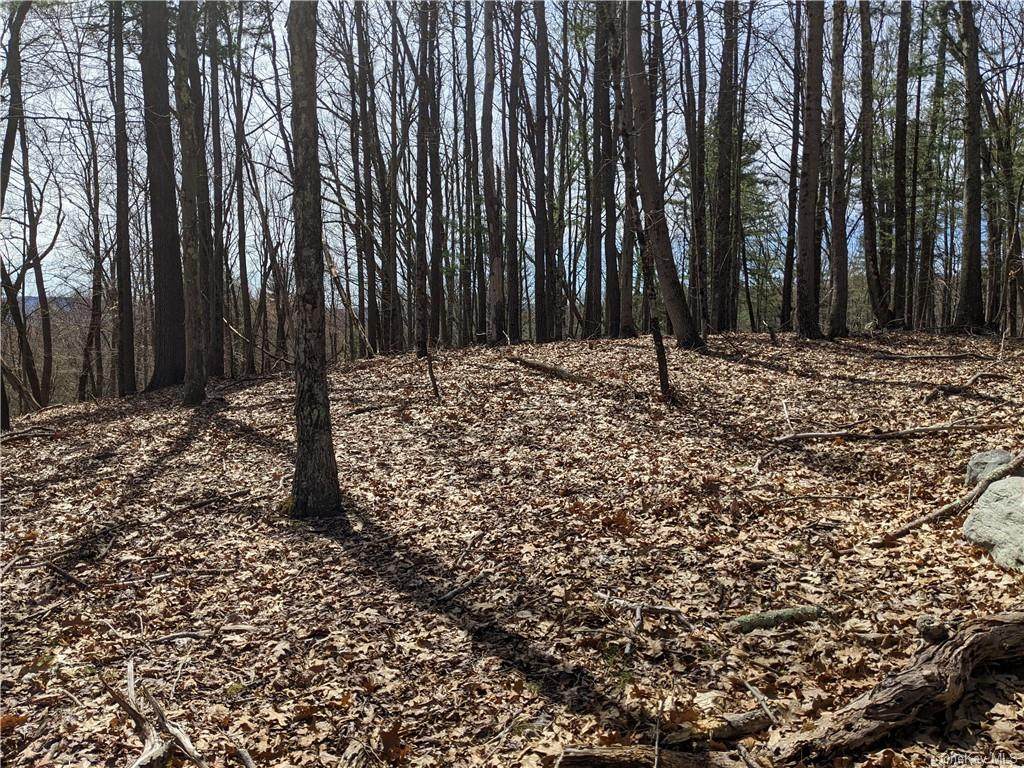 393 County Route 2 - Photo 1