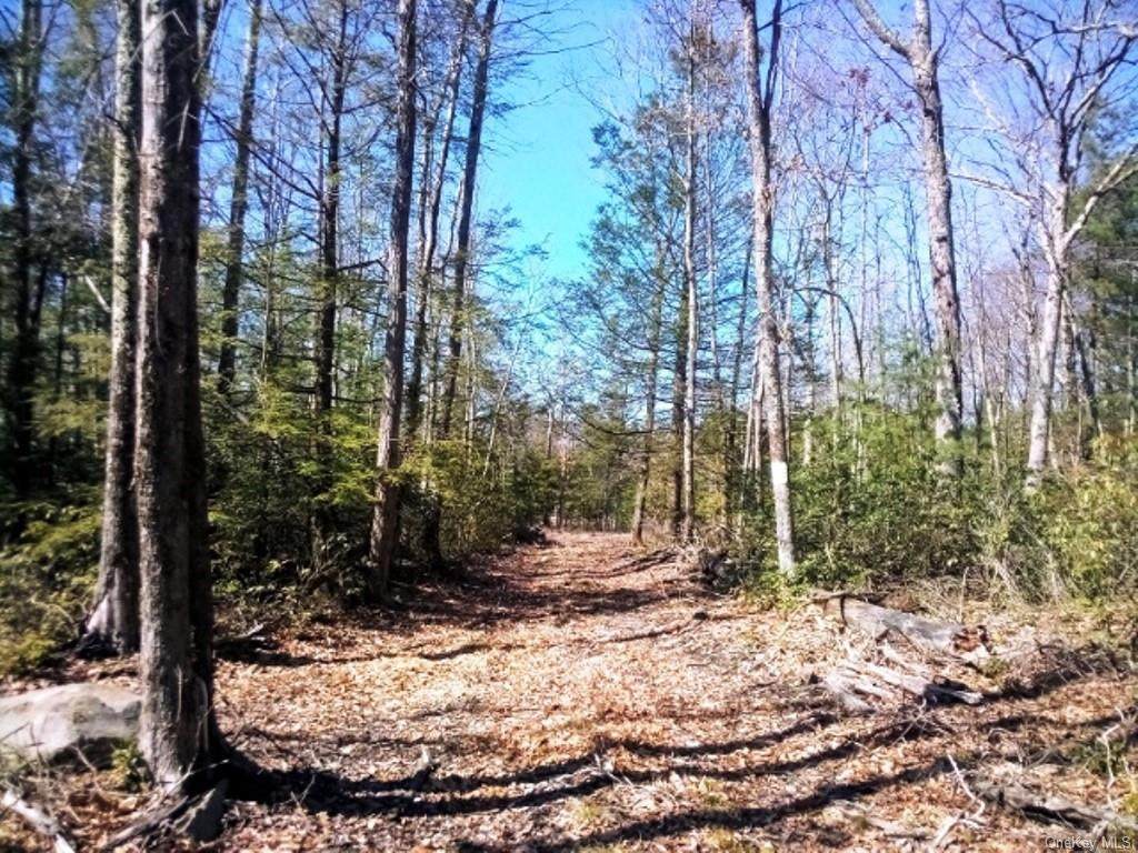 Mount Vernon Road - Photo 1